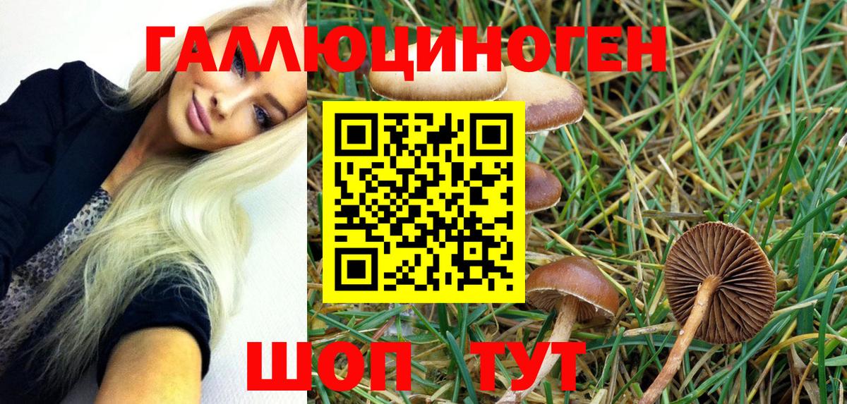 Псилоцибиновые грибы Psilocybe  Галлюциногенные грибы Cubensis  Вход с VPN  Крымск 